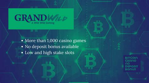 grand wild casino no deposit codes